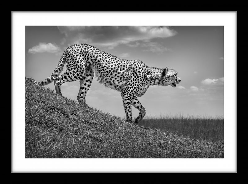 framed
